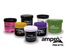 Ampro Industries